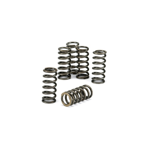 Clutch springs Husaberg 125 TE (12) CSK024