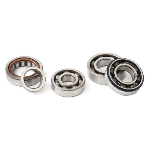 SKF.62206C4