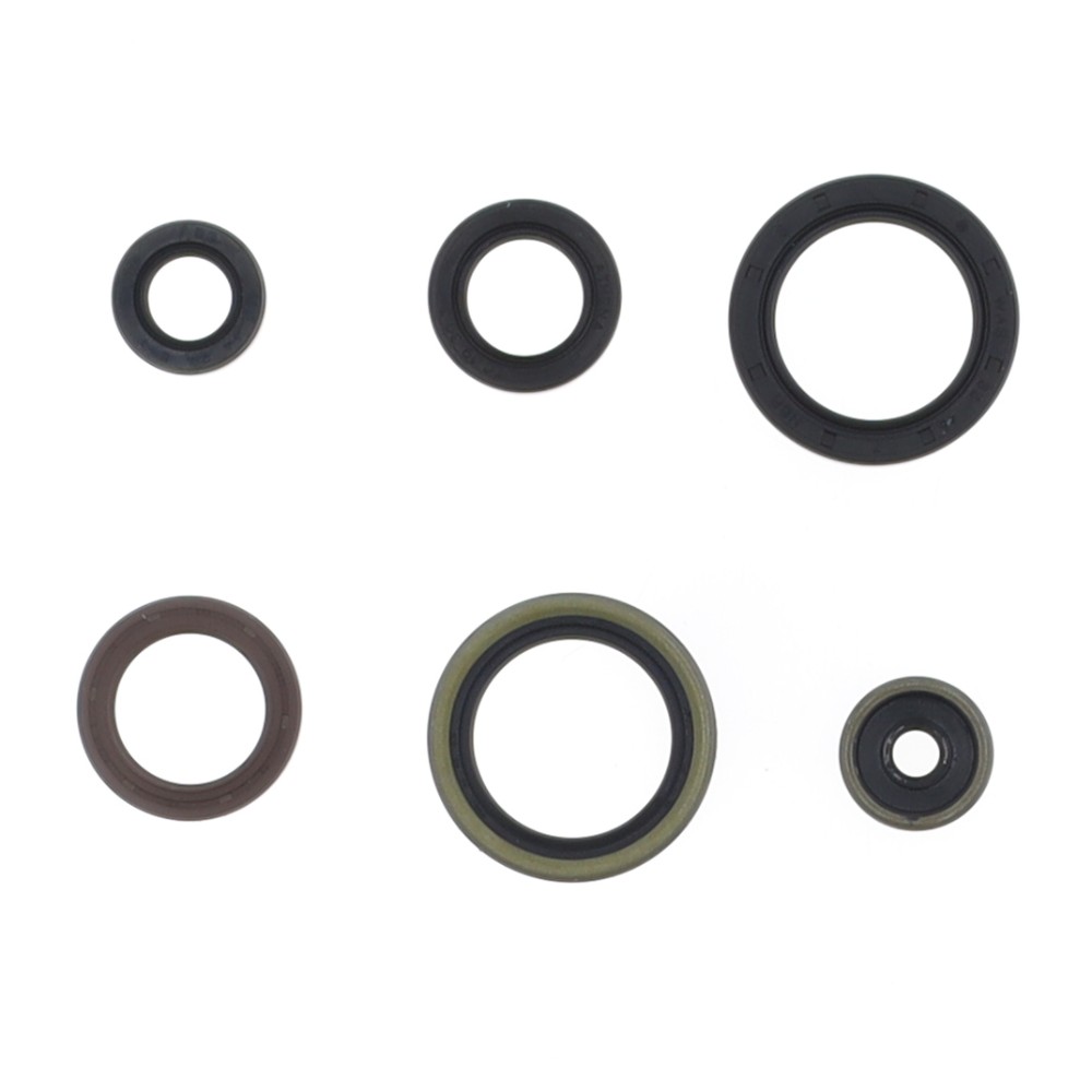 Engine Seal Set Centauro Gasgas 125 MC (21-25) 731A669SR