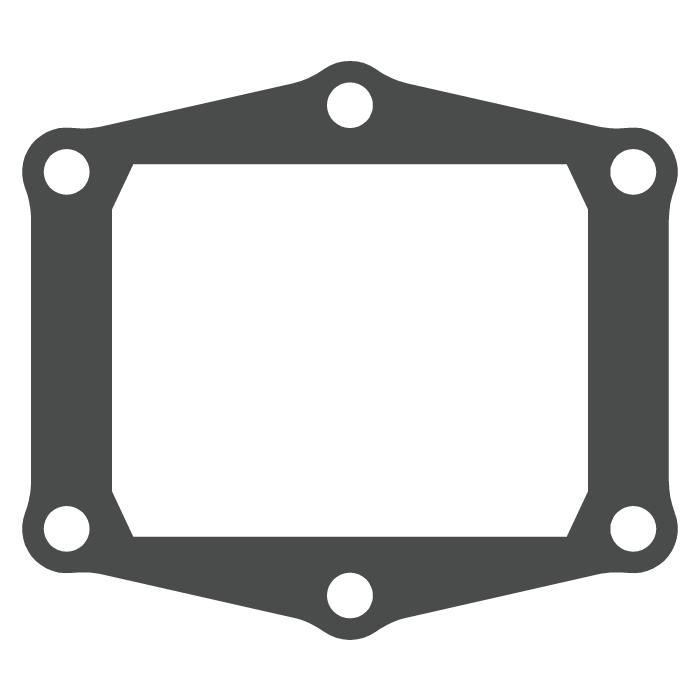 Reed valve Gasgas 250 EC (97-17) - V-Force 3 (gasket only) MTG305